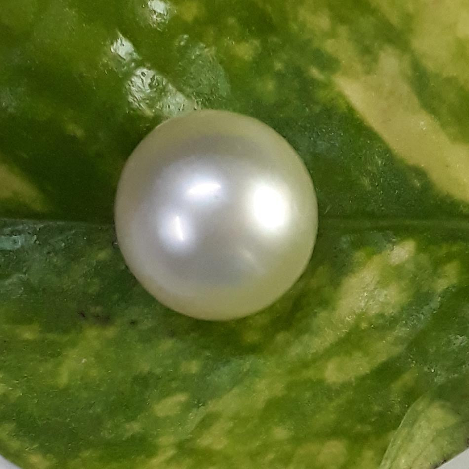 9.80/CT Natural South Sea Pearl with Lab Certificate-(1332)