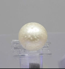 11.15 Ratti Natural South Sea Pearl With Lab Certificate-700
